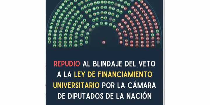 Repudio al blindaje del veto a la Ley